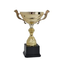 Trofeo con manici cm 24 ø 12