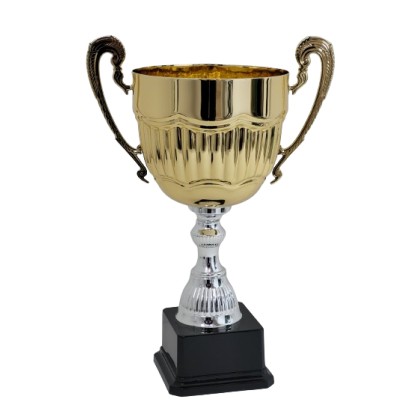 cod. P454.6284 - Trofeo con manici cm 27 ø 12