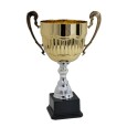 cod. P454.6284 - Trofeo con manici cm 27 ø 12