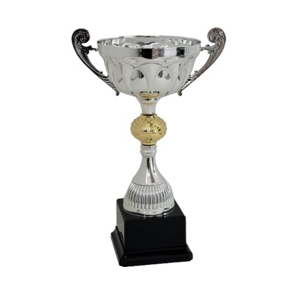 cod. P464.704 - Trofeo con manici cm 28 ø 12