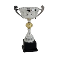 Trofeo con manici cm 28 ø 12