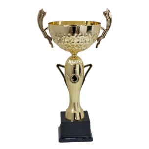 cod. P469.8012 - Trofeo con manici cm 41 ø 16