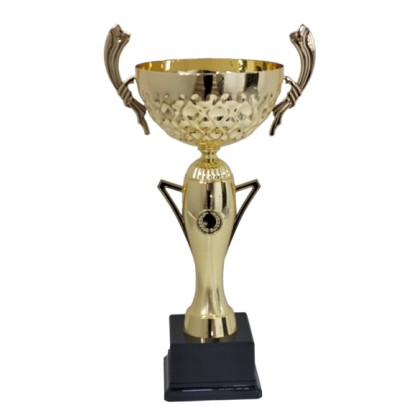 cod. P469.8012 - Trofeo con manici cm 41 ø 16