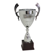 Trofeo con manici cm 45 ø 16