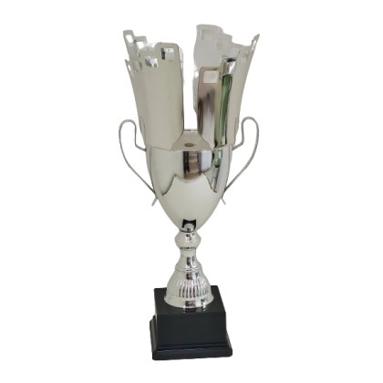 cod. P476.2063 - Trofeo con manici cm 48 ø 20