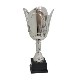 cod. P482.2493 - Trofeo cm 42 ø 18