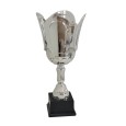 cod. P482.2493 - Trofeo cm 42 ø 18
