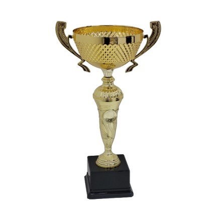 cod. P495.8103G - Trofeo con manici cm 37 ø 14