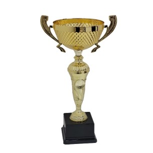 cod. P495.8104G  - Trofeo con manici cm 35 ø 12