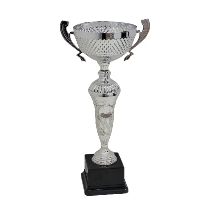 cod. P496.8104S - Trofeo con manici cm 35 ø 12