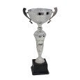 cod. P496.8104S - Trofeo con manici cm 35 ø 12