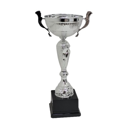 cod. P500.7494 - Trofeo con manici cm 34 ø 12