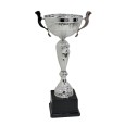 cod. P500.7494 - Trofeo con manici cm 34 ø 12