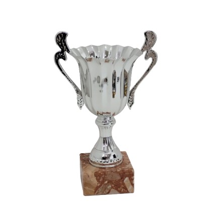 cod. P505.1024 - Trofeo con manici cm 26 ø 11