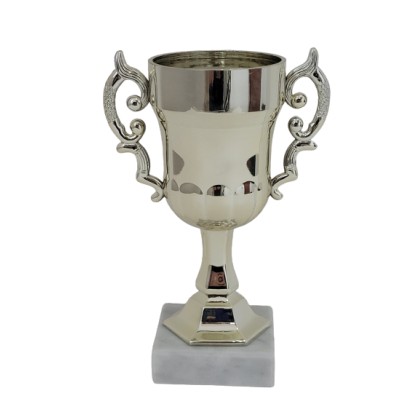 cod. P530.2 - Trofeo con manici cm 17 ø 7