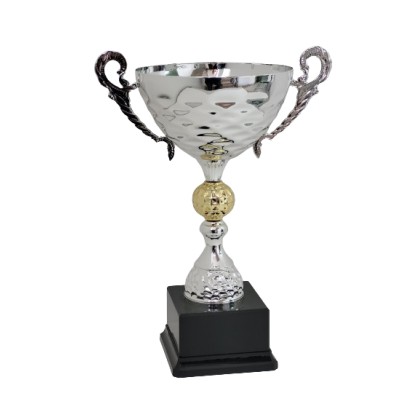 cod. P533.984 - Trofeo con manici cm 27 ø 12