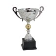 cod. P533.984 - Trofeo con manici cm 27 ø 12