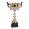 cod. P569.6363 - Trofeo con manici cm 36 ø 14