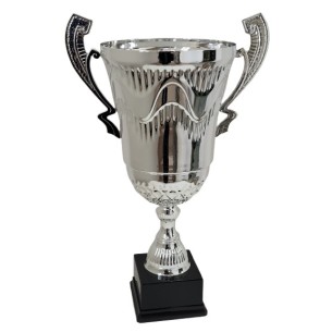cod. P616.1081 - Trofeo con manici cm 53