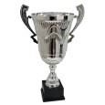 cod. P616.1081 - Trofeo con manici cm 53