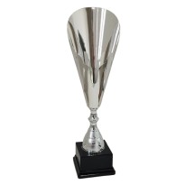 cod. P617.3142 - Trofeo cm 57