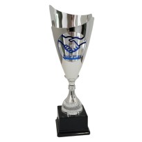 cod. P618.4351 - Trofeo cm 47