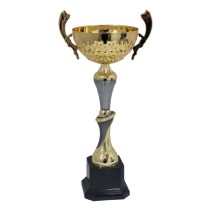 Trofeo con manici cm 39 ø 12