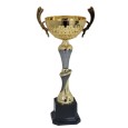 cod. P650.12 - Trofeo con manici cm 39 ø 12