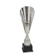 cod. P665.2 - Trofeo cm 51 ø 16