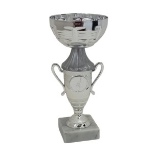 cod. P668.13452 - Trofeo cm 21 ø 9