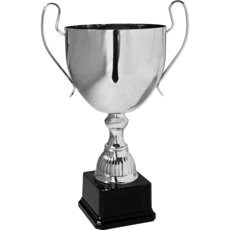 cod. 6.311 - Trofeo con manici cm 40 Made in Italy