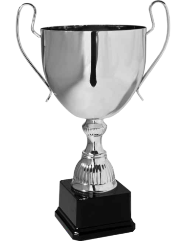 cod. 6.313 - Trofeo con manici cm 32 Made in Italy