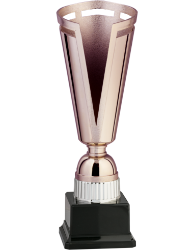 cod. 8.633 - Trofeo cm 30 bronze
