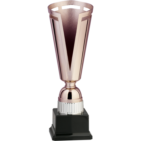 cod. 8.633 - Trofeo cm 30 bronze