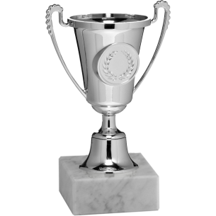 cod. 13.292.6 - Coppa con manici cm 14 - m6