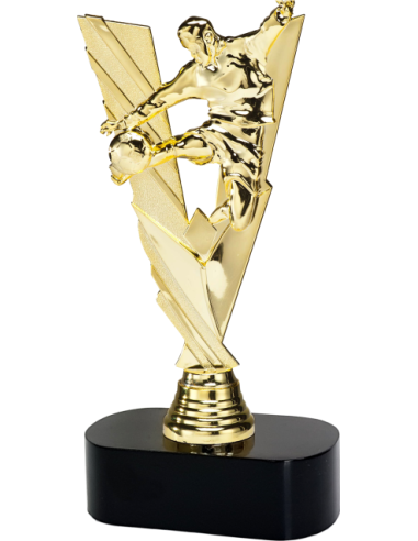 cod. 14.529B - Trofeo calcio cm 22