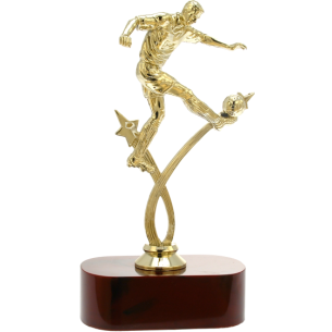 cod. 14.535 - Trofeo calcio cm 22 f5