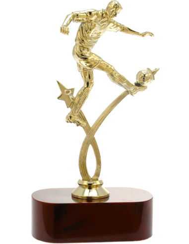 cod. 14.535 - Trofeo calcio cm 22 f5