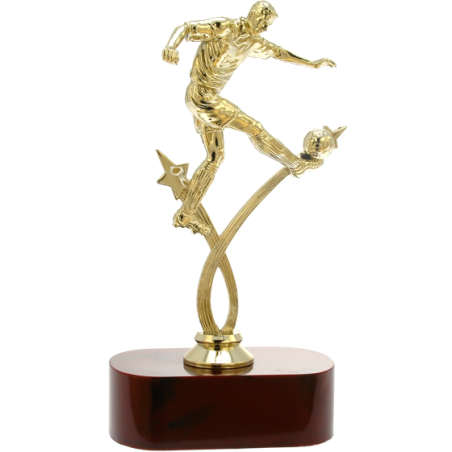 cod. 14.535 - Trofeo calcio cm 22 f5