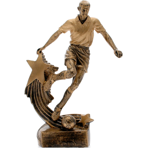 cod. 15.303 - Trofeo calcio cm 20