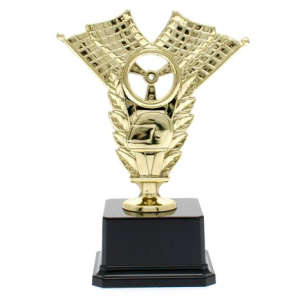 cod. 16.034 - Trofeo auto cm 16