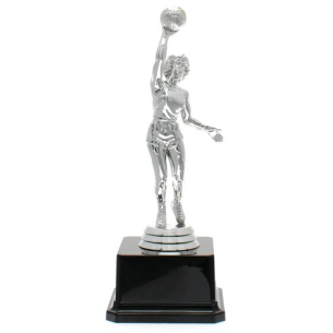 cod. 16.463 - Trofeo basket cm 19