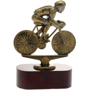 cod. 16.519 - Trofeo ciclo cm 17