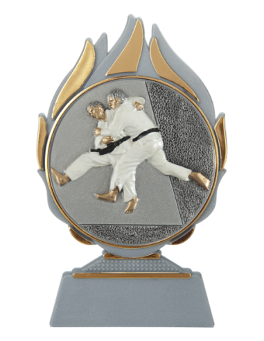 cod. 17.006 - Trofeo judo cm 14