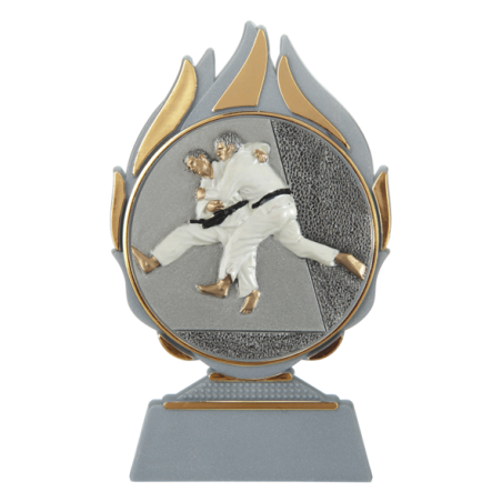 cod. 17.006 - Trofeo judo cm 14