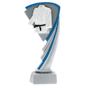 cod. 17.013 - Trofeo karate cm 19