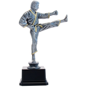 cod. 17.234 - Trofeo karate cm 26