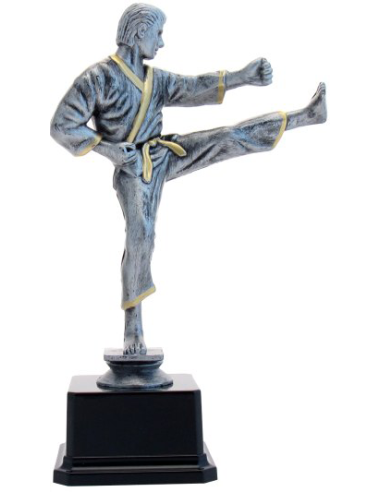 cod. 17.234 - Trofeo karate cm 26