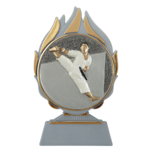 cod. 17.239 - Trofeo karate cm 14