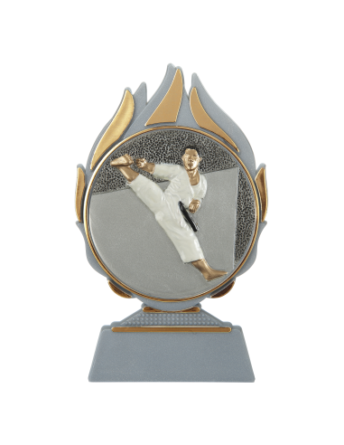 cod. 17.239 - Trofeo karate cm 14